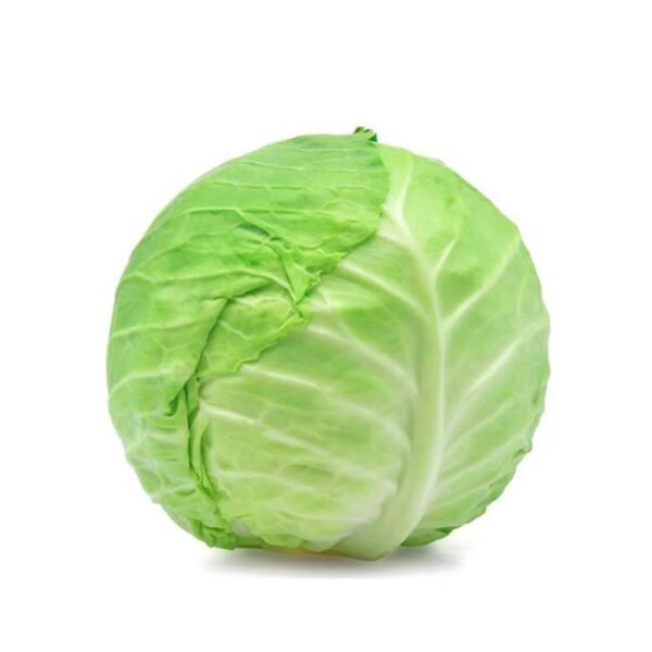 Cabbage - (بند گوبھی)