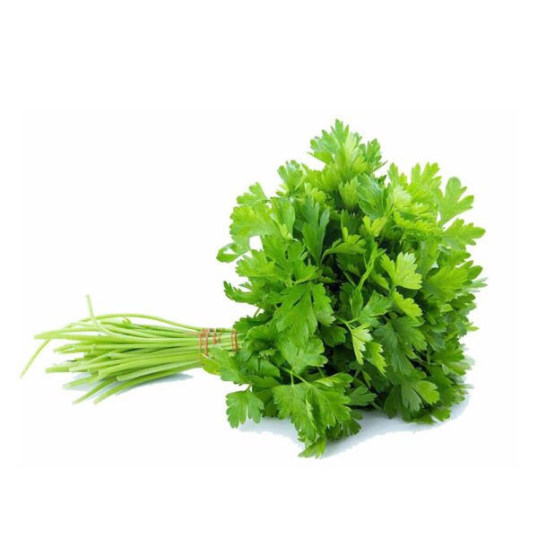 Coriander - (دھنیا) 1 bunch