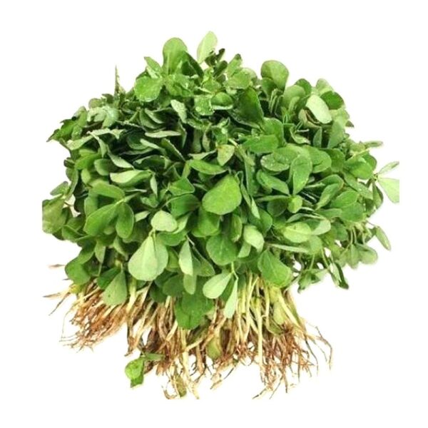 Fenugreek - (میتھی) 1 KG