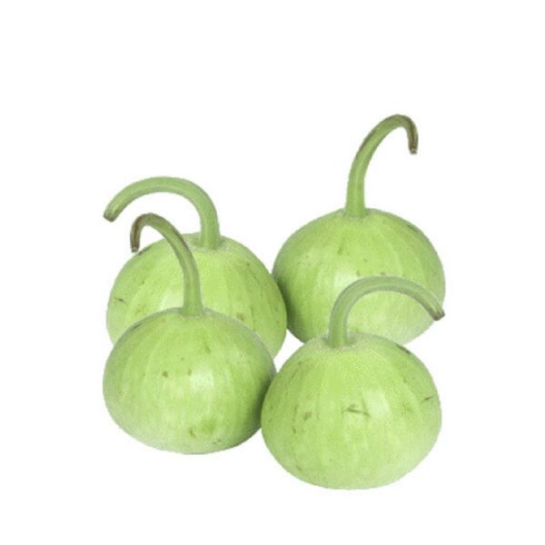 Ghia pumpkin - (گھیا کدو) 1 KG