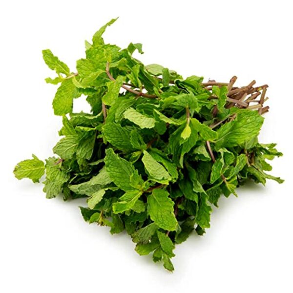 Mint - (پودینہ) 1 bunch