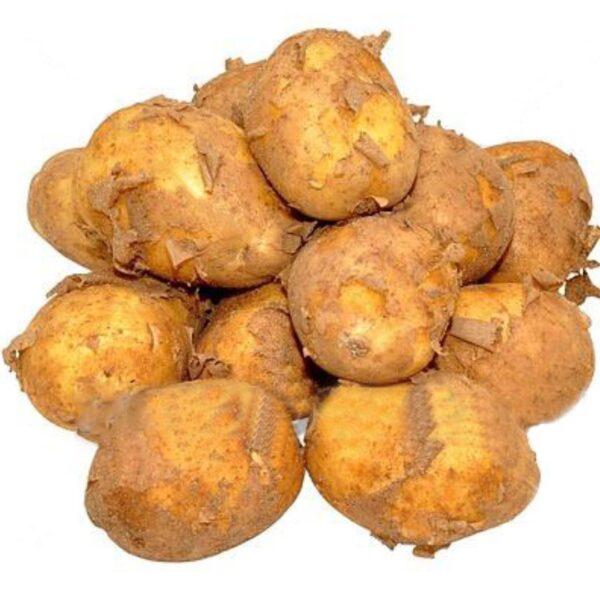 Potato - (نیا آلو) 1KG