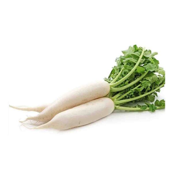 Radish white- (مولی سفید۔) 1 KG